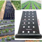 VEGMESH™ – PRIKRÝVACIA FÓLIA NA SADENIE (1x10m)